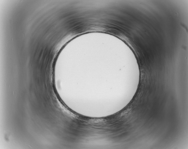 X0000101671143200807311451