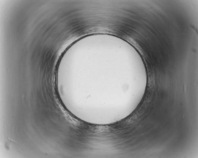X0000101671144200807311452