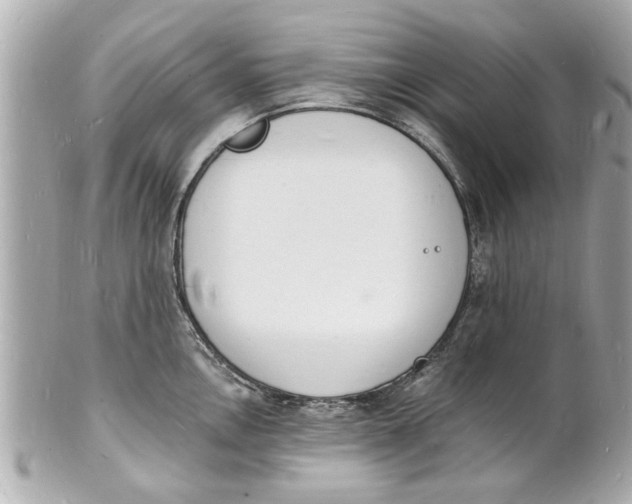 X0000101671146200807311452