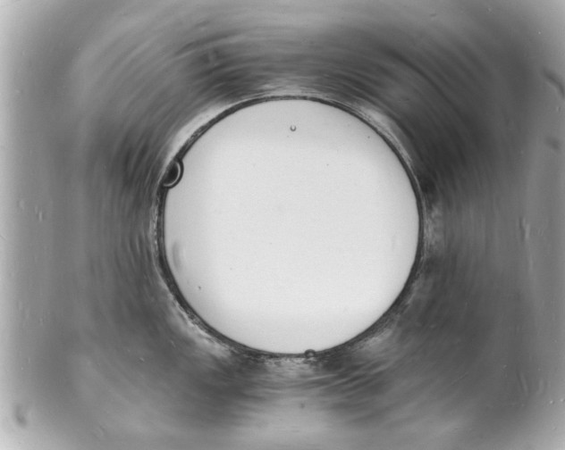X0000101671149200807311452