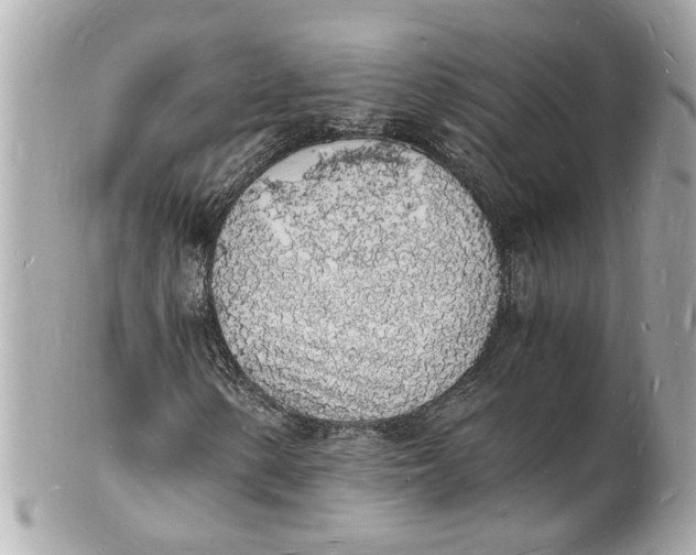 X0000101671154200807311451