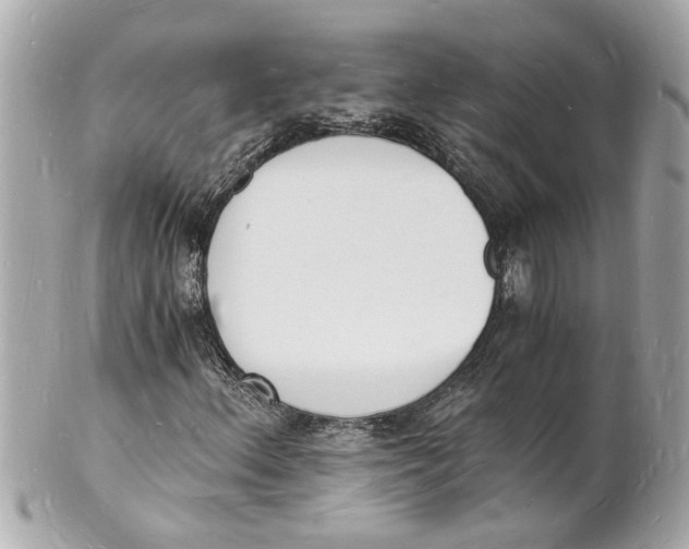 X0000101671156200807311451