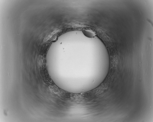 X0000101671157200807311451