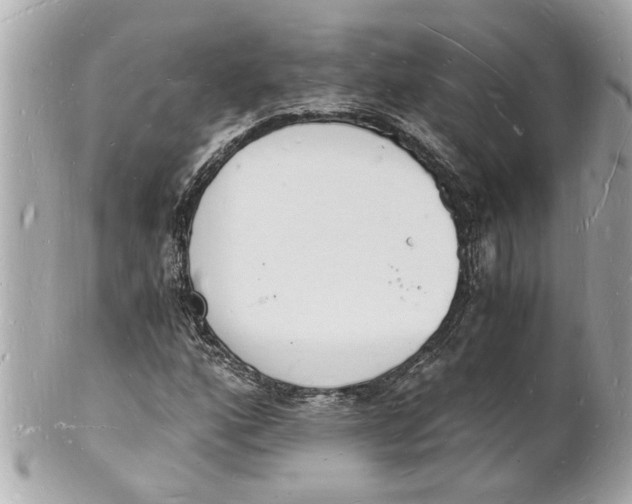 X0000101671160200807311451