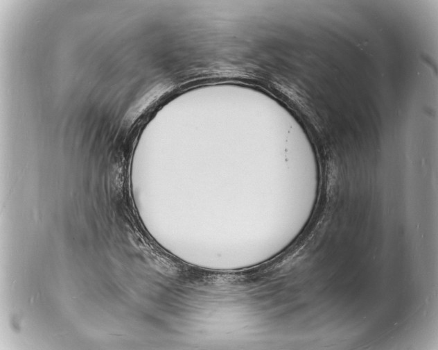 X0000101671163200807311451