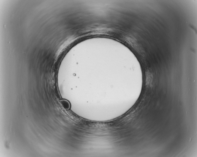X0000101671164200807311451
