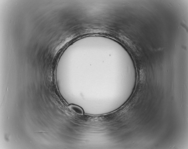 X0000101671165200807311451