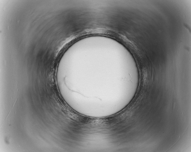 X0000101671166200807311451