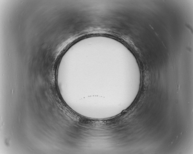 X0000101671167200807311451