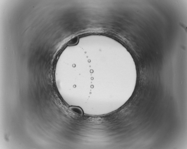 X0000101671168200807311451