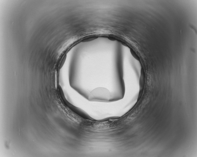 X0000101671171200807311451