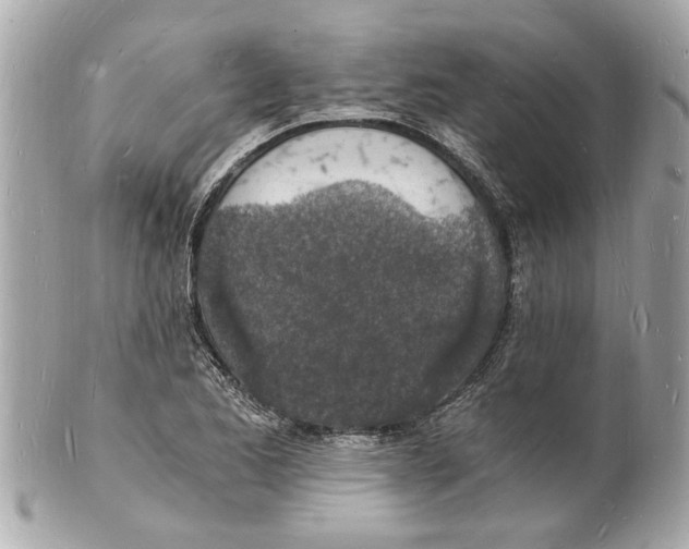 X0000101671173200807311450