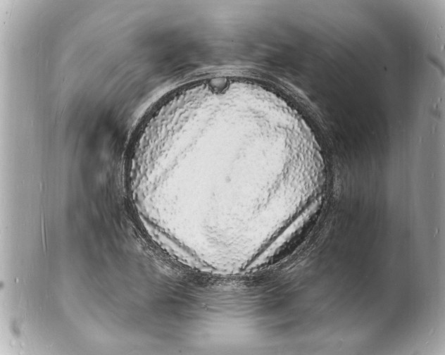 X0000101671174200807311450