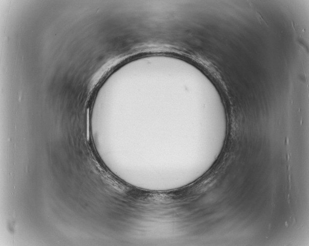 X0000101671175200807311450