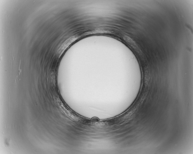 X0000101671177200807311450