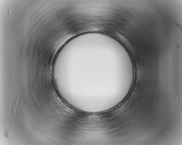 X0000101671178200807311450