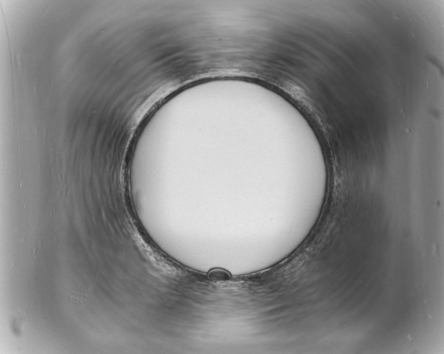 X0000101671181200807311450