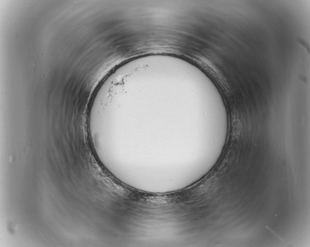 X0000101671182200807311450
