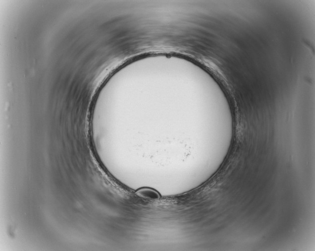 X0000101671183200807311450