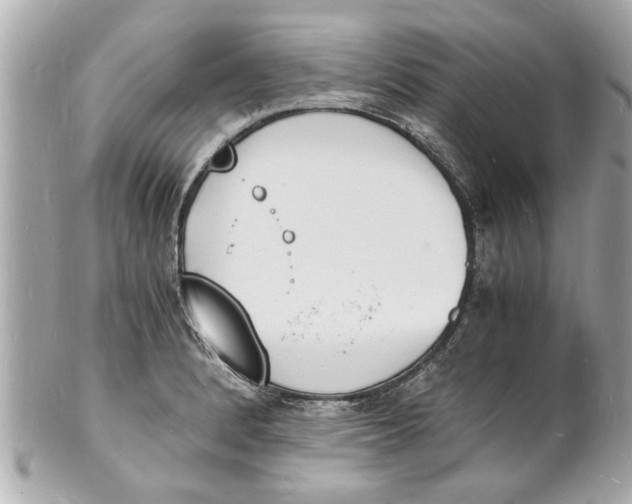 X0000101671184200807311450