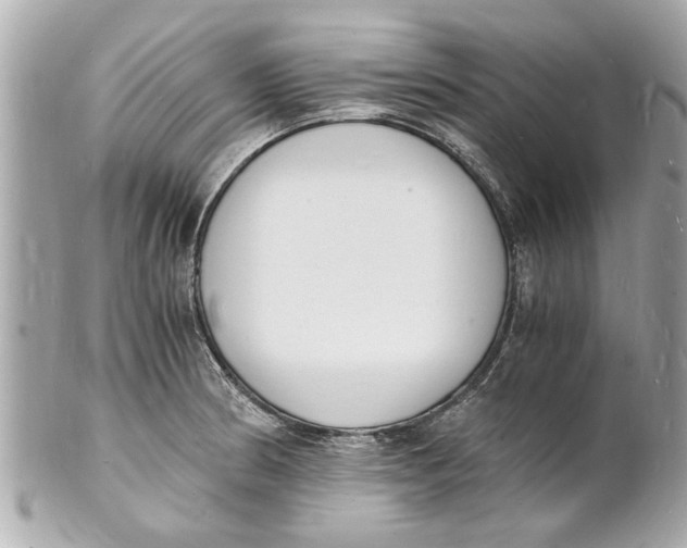 X0000101671186200807311450