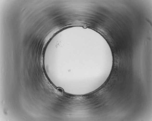 X0000101671188200807311450