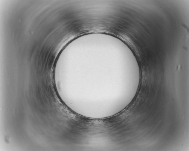 X0000101671190200807311450