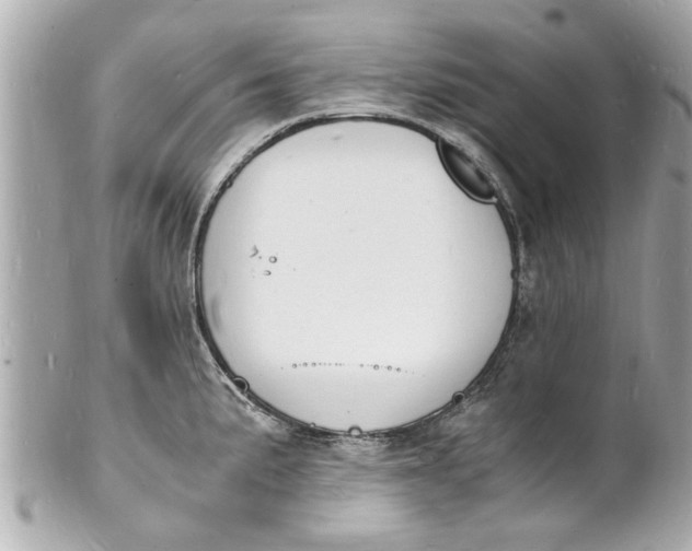 X0000101671191200807311450
