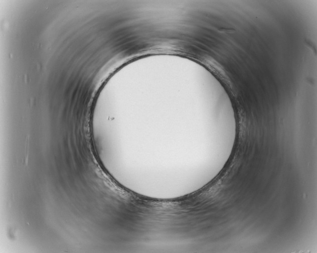 X0000101671192200807311450