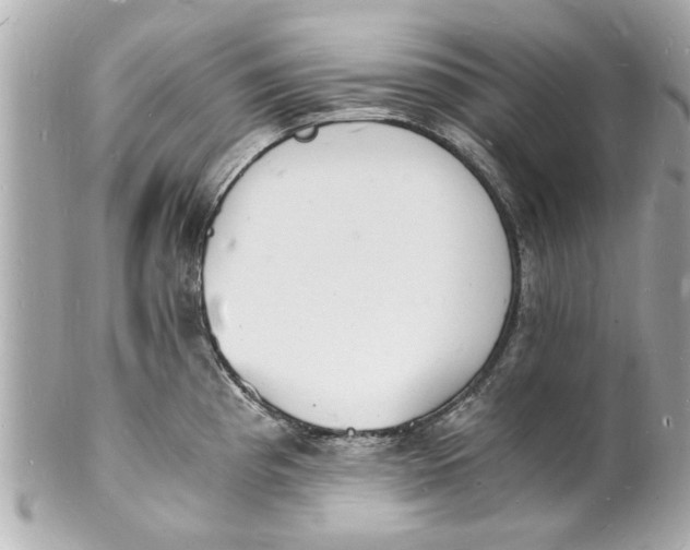 X0000101671193200807311450
