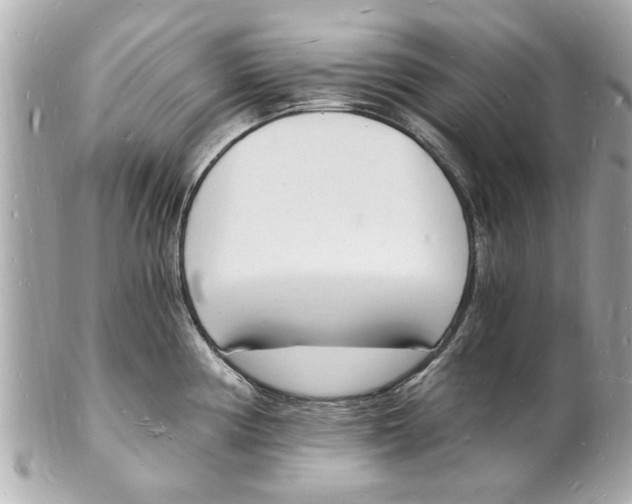 X0000101671194200807311450