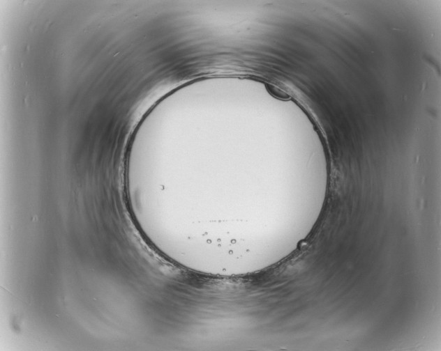 X0000101671195200807311450