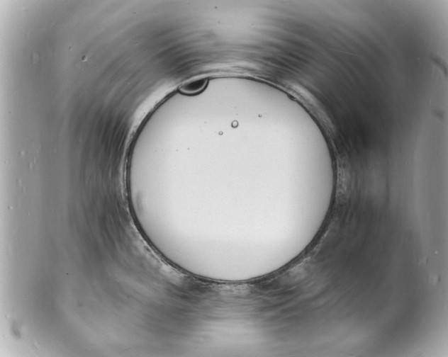 X0000101671196200807311450