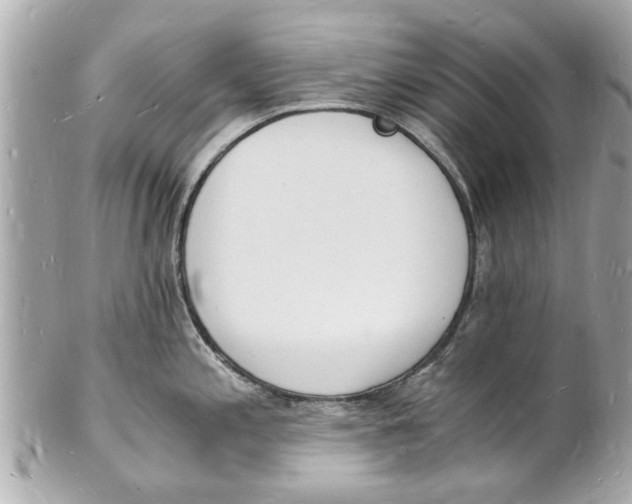 X0000101671197200807311450