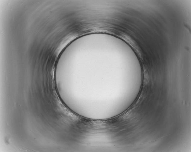 X0000101671198200807311450