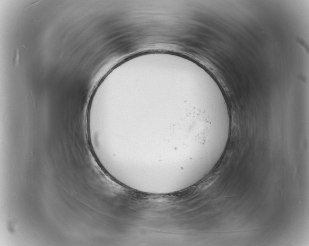 X0000101671199200807311450