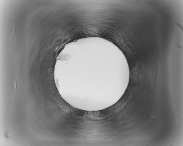 X0000101671201200807311449