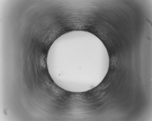 X0000101671202200807311449