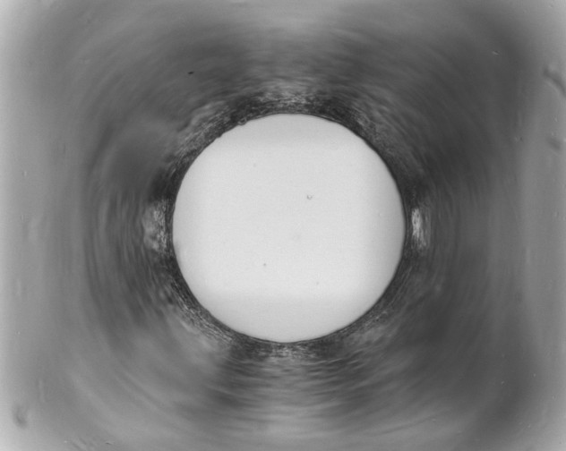 X0000101671203200807311449