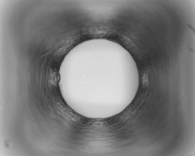 X0000101671204200807311449