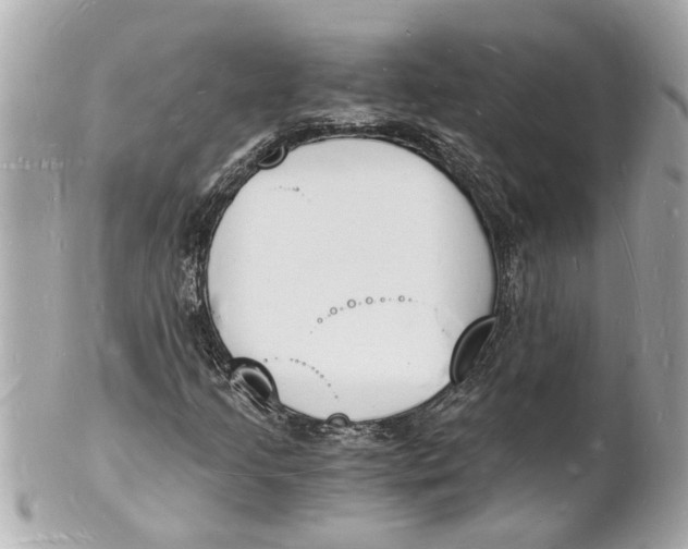 X0000101671205200807311450
