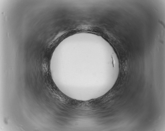 X0000101671206200807311450