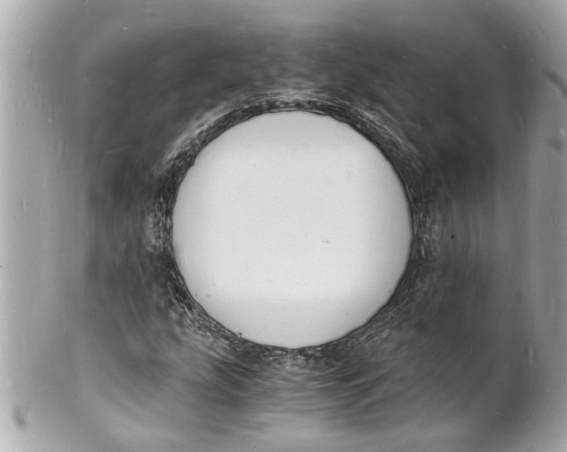 X0000101671207200807311450