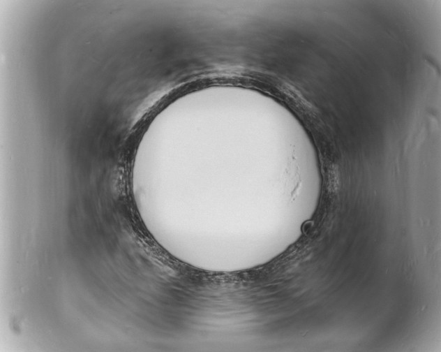 X0000101671208200807311450