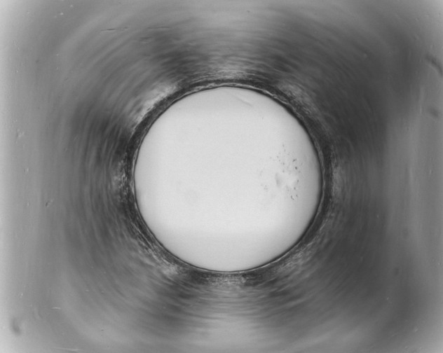 X0000101671210200807311450