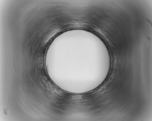 X0000101671211200807311450