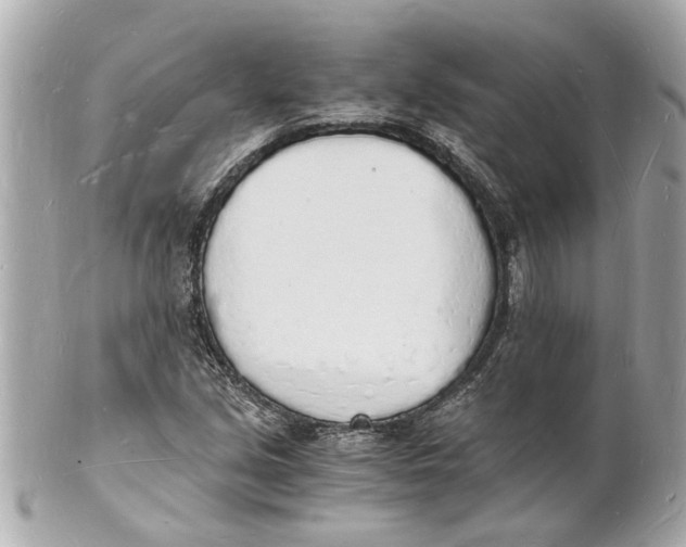 X0000101671213200807311450