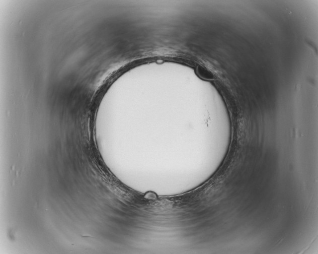 X0000101671214200807311450
