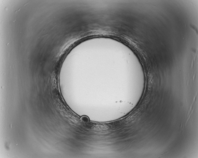 X0000101671215200807311450