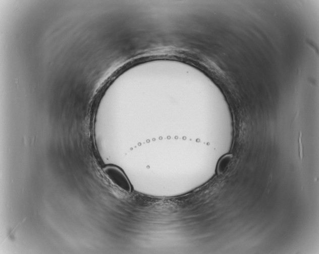 X0000101671216200807311450
